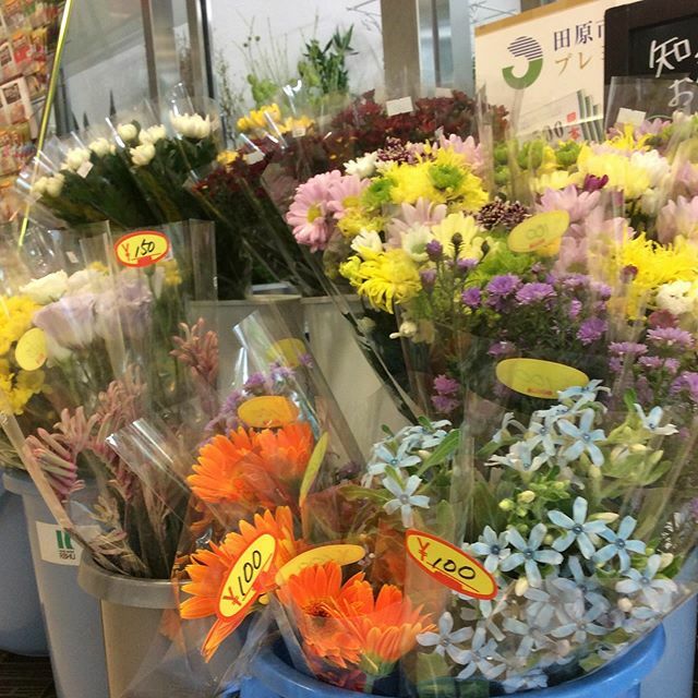 生花 鉢花 ぐりーんぽけっと お値打ちパック花 いろいろ入荷です お早めにどうぞ パック花 地元の花 田原市 田原 花屋 はなや フラワーショップ ぐりーんぽけっと ショッピングタウンパオ たはら暮らし T Co Vuwwrsvycd 生花 鉢花 ぐりーんぽけっと お値打ちパック花 いろいろ入荷です お早めにどうぞ パック花 地元の花 田原市 田原 花屋 はなや フラワーショップ ぐりーんぽけっと ショッピングタウンパオ たはら暮らし T Co Vuwwrsvycd