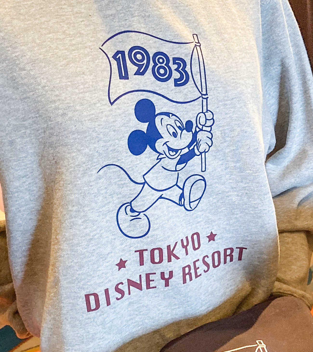 Mezzomikiのディズニーブログ チャンピオンプロデュース ミッキーの東京ディズニーリゾートデザイントレーナー本日発売 T Co Ga1kupgwsu T Co 1u7ambfrr4 Twitter