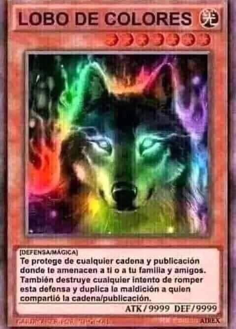 EucliffeRoa's tweet photo. @The_cat_of_Deat @eldiariodedross 20/10/19 https://t.co/583l8Jphwf