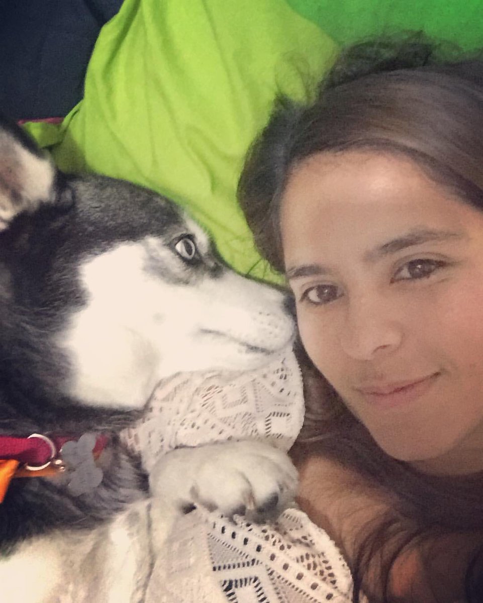 medush88's tweet photo. Mi hermosa ayer te dije adiós y hoy te extraño como loca 

Pensando que vas a aparecer por ahí en cualquier momento!!! #teamo  #parasiempre #PorSiempre #huskymom #huskylovers #momofahusky https://t.co/b1xik8I9oF