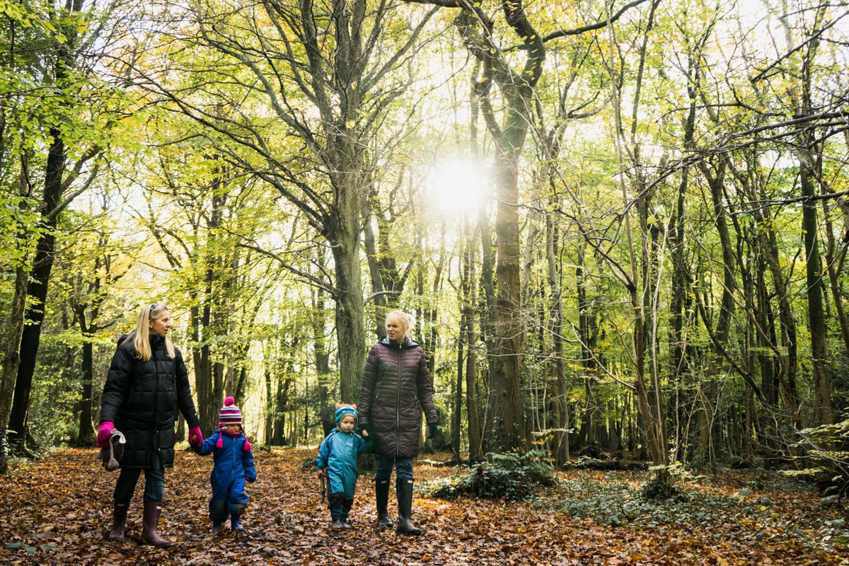 ForestryEngland's tweet photo. With recent research showing that just 2-3 short forest visits a week can benefit your mental health, we can’t think of a better reason to visit the nation’s forests this autumn.

Find your local woodland for a wellbeing boost: https://t.co/FthcZEOudu https://t.co/v1hhJNo9VY