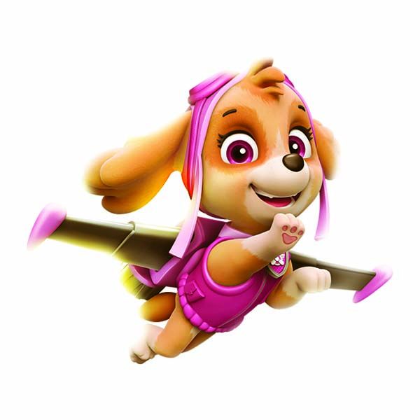 skye_mighty's tweet photo. Name: skye 
Gander: female 
Character: pup
Act: fly pup 
From: paw patrol https://t.co/hKc7fDNjFT