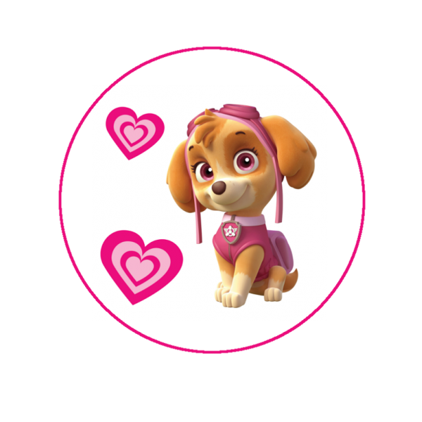 skye_mighty's tweet photo. Name: skye 
Gander: female 
Character: pup
Act: fly pup 
From: paw patrol https://t.co/hKc7fDNjFT