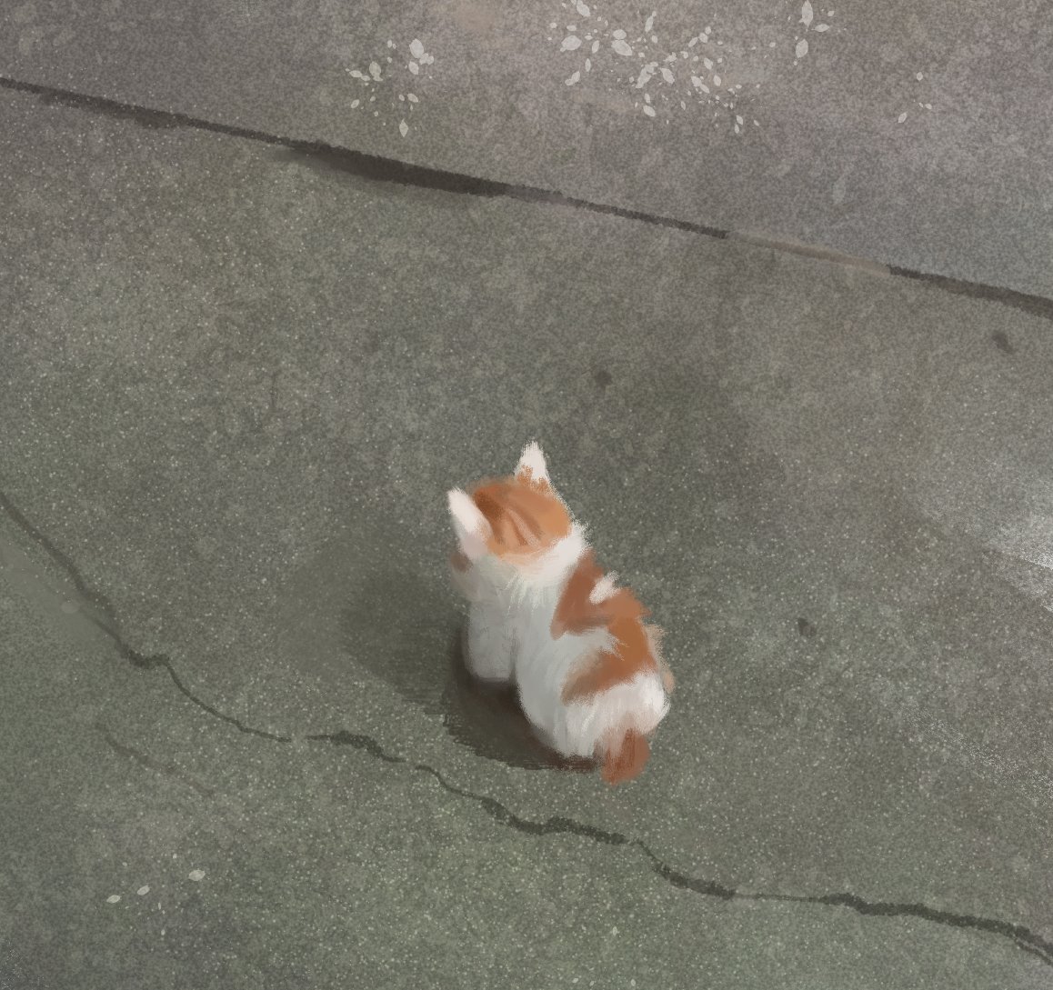 Angry Cat Meme No Talk Me Im Angy - gotasdelorenzo