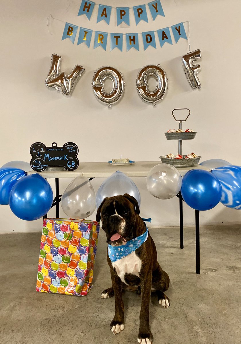 Hashtag Euroboxer Sur Twitter