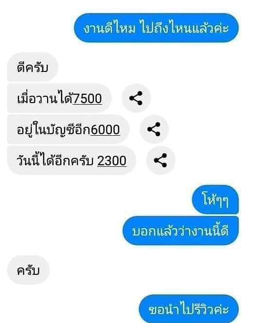 Patchamaporn tweet media