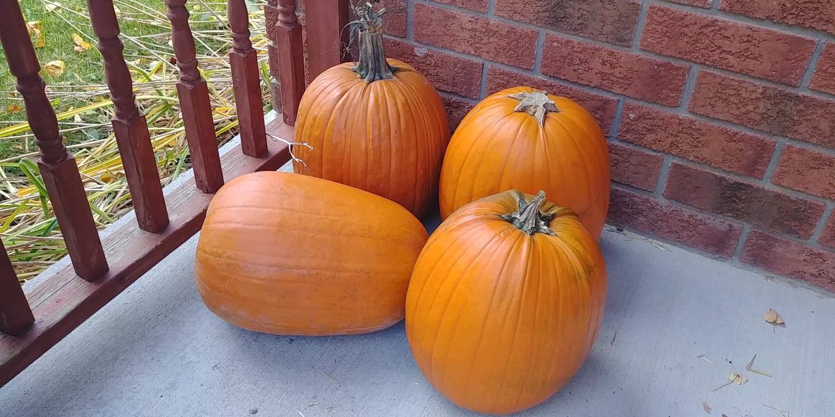 stjeromecouncil's tweet photo. Props for our Halloween 
Dance-A-thon🎃 Thank you Millers Farm in Manotick for your kind donation💗 #2019danceathon #JERPride https://t.co/Vu1O8vgY7p