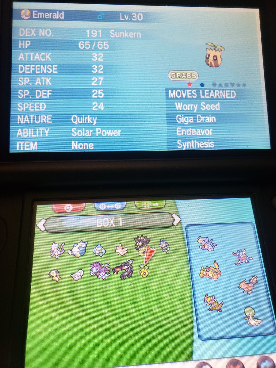LusterSN's tweet image. Opened my Y for the first time in 3 years to shiny hunt. Used @IrishEmerald1's friend safari and got this in 21 encounters :o
