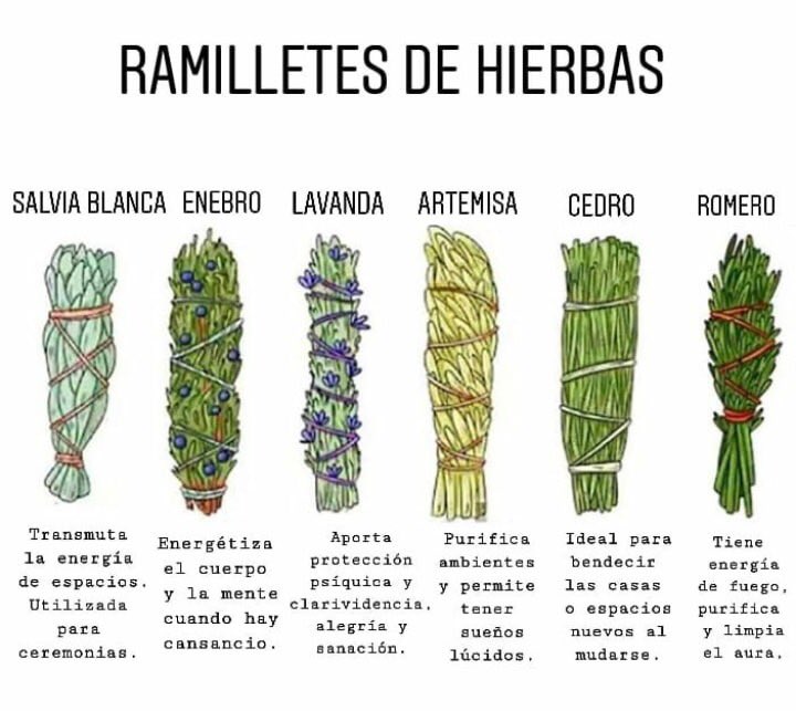 gorda_pimienta's tweet photo. #temedicinal #medicinanatural #consejosparatusalud #loquenosabias #curate #cuidate #infusiones #aguadevida #alimentosquecuran https://t.co/NXM997KATF