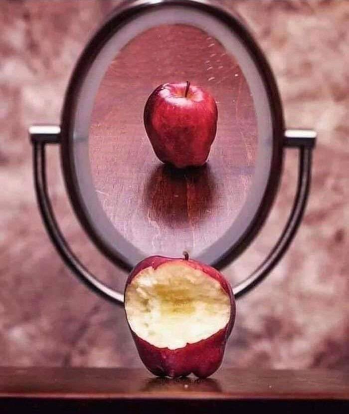 courosa's tweet photo. Life on social media. #eci831 #socialcomparison via https://t.co/JKe3GZKdUt https://t.co/i14jeK38Hj