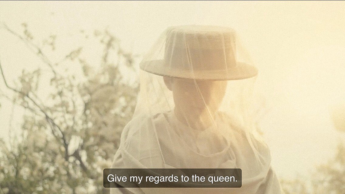 things i didn’t know i needed: gilbert flirting with bees  #annewithane