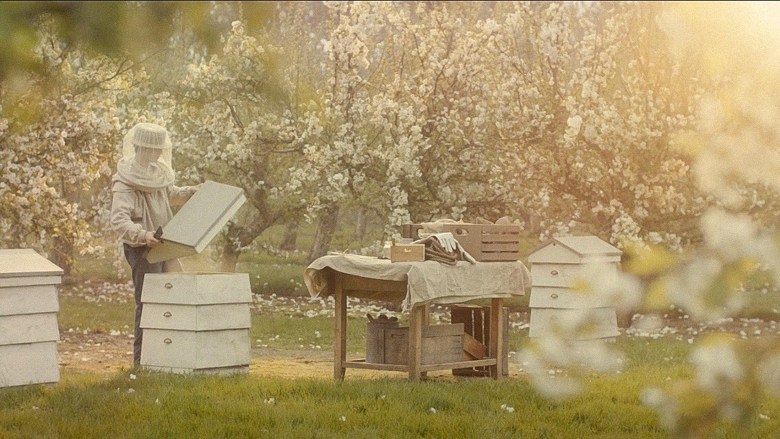 things i didn’t know i needed: gilbert flirting with bees  #annewithane