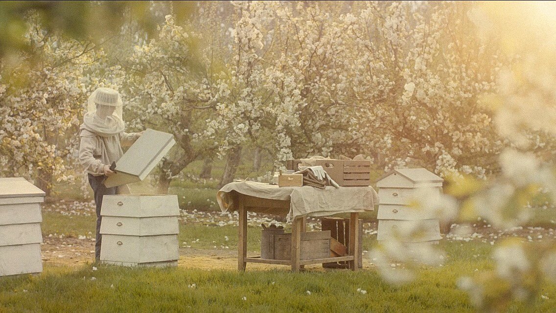 things i didn’t know i needed: gilbert flirting with bees   #annewithane