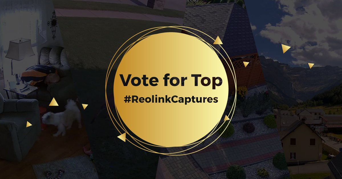 ReolinkTech's tweet image. Another round of #ReolinkCaptures contest has just started! 🤩🤩
Submit your best #Reolink camera footage and vote for your favs here👉 bit.ly/2nPAVNG