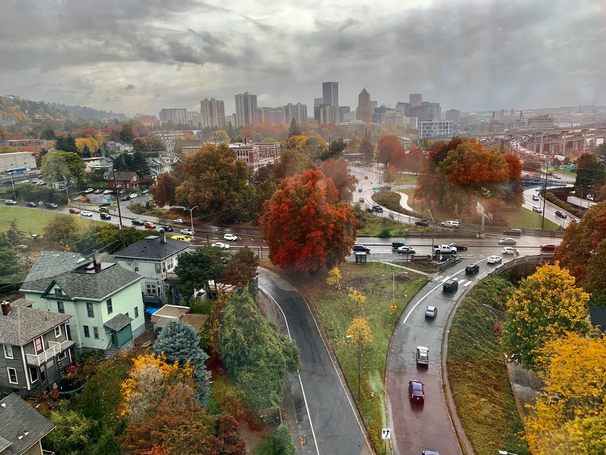 MHartleyLab's tweet photo. Friday was my last day as a postdoc @OHSUSOM. Amazing views for my last day from @PortlandTram. Many thanks to the enthusiastic and supportive CBP department for everything over the years! @ScanlanLab @MichaelNADbio @XiangshuX @BingbingXLi https://t.co/ci1pQNxKg0