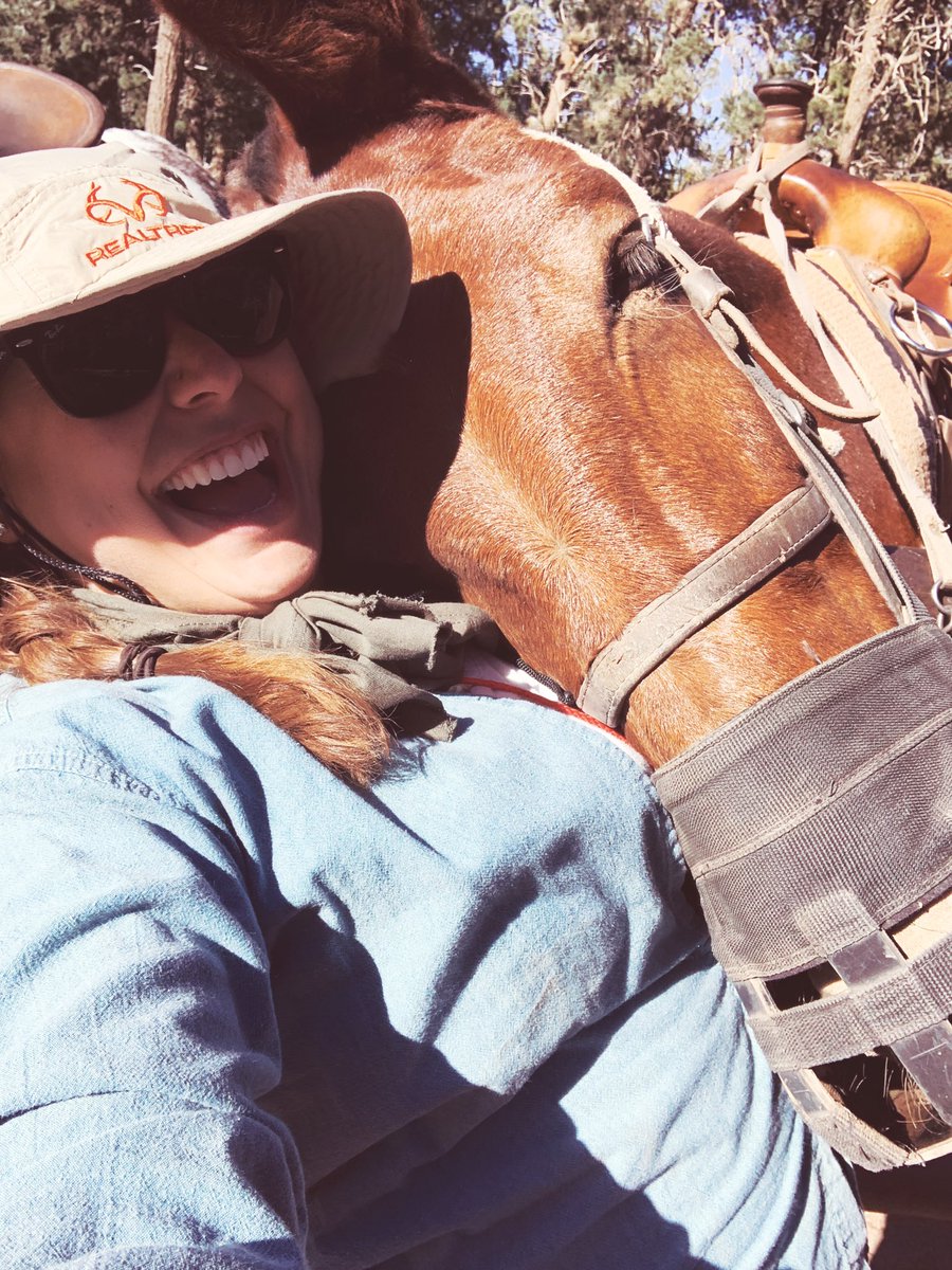 CassHallTV's tweet photo. This is Kolb. We really bonded today. I told him we were taking a selfie, but he just wanted to snuggle. Iβm eternally grateful he didnβt throw me off the edge of the Grand Canyon during our ride π΄π§‘ #GrandCanyon #MuleRide #Southwest #Travel #SouthRim #Arizona #Vacation https://t.co/XF3IUY4GkW