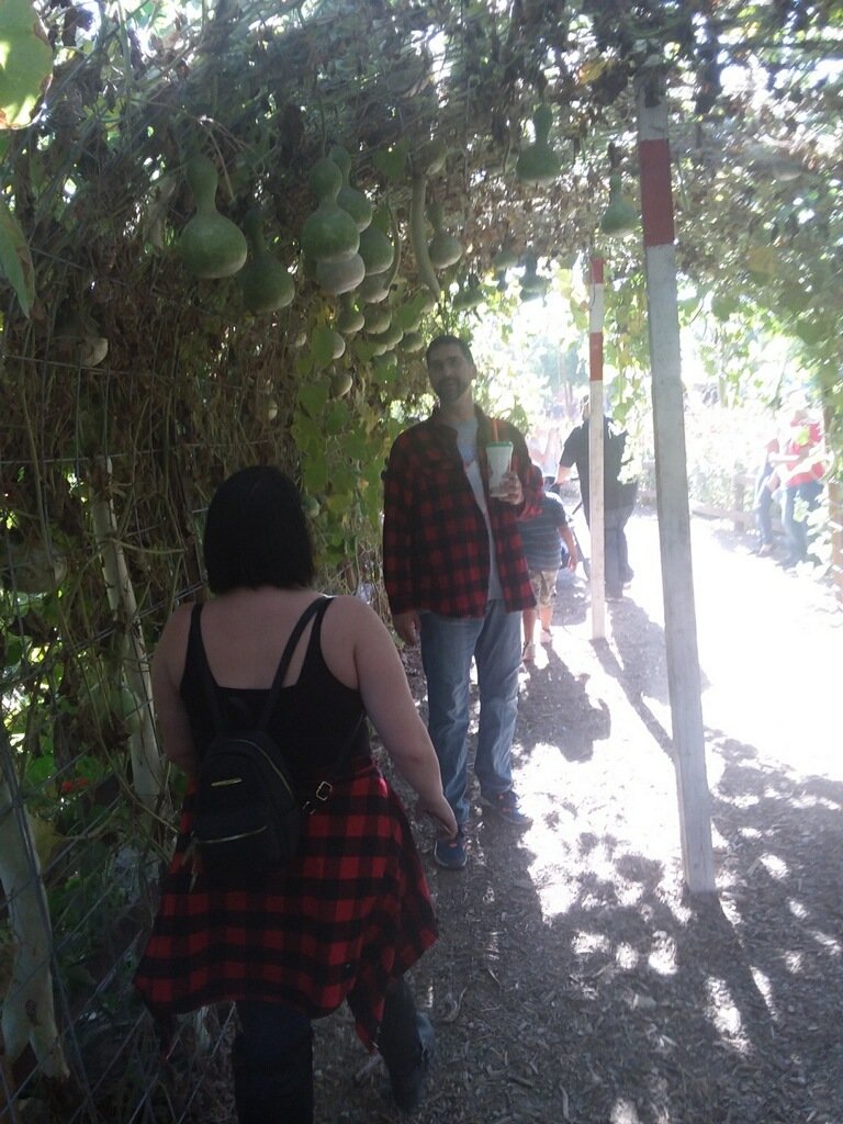 HuskyPinky's tweet photo. Had fun at Oak Canyon Pumpkin Patch (part 1) https://t.co/NIcaHn9IrO