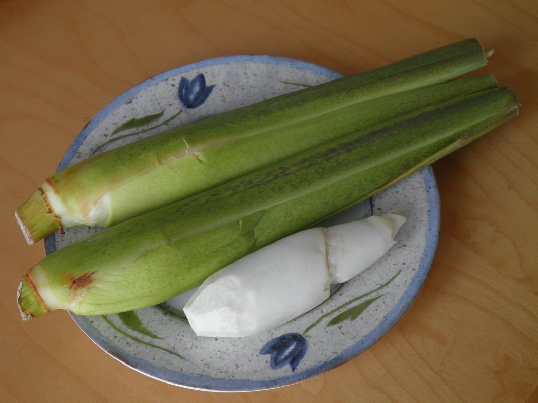 Two green rice stems and a peeled inner heart of a stem on a ceramic plate. By Micromesistius from Wikimedia Commons.