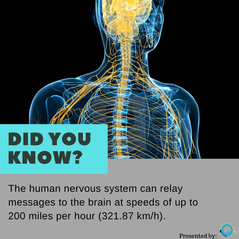 outboundersTV's tweet photo. Did you know? 🤔
#BPO #CallCenter #CSR #Telemarketing #PhilippineBPO #Outsourcing #BPOProvider #CostEffectiveOutsourcing https://t.co/dgQj06vud0