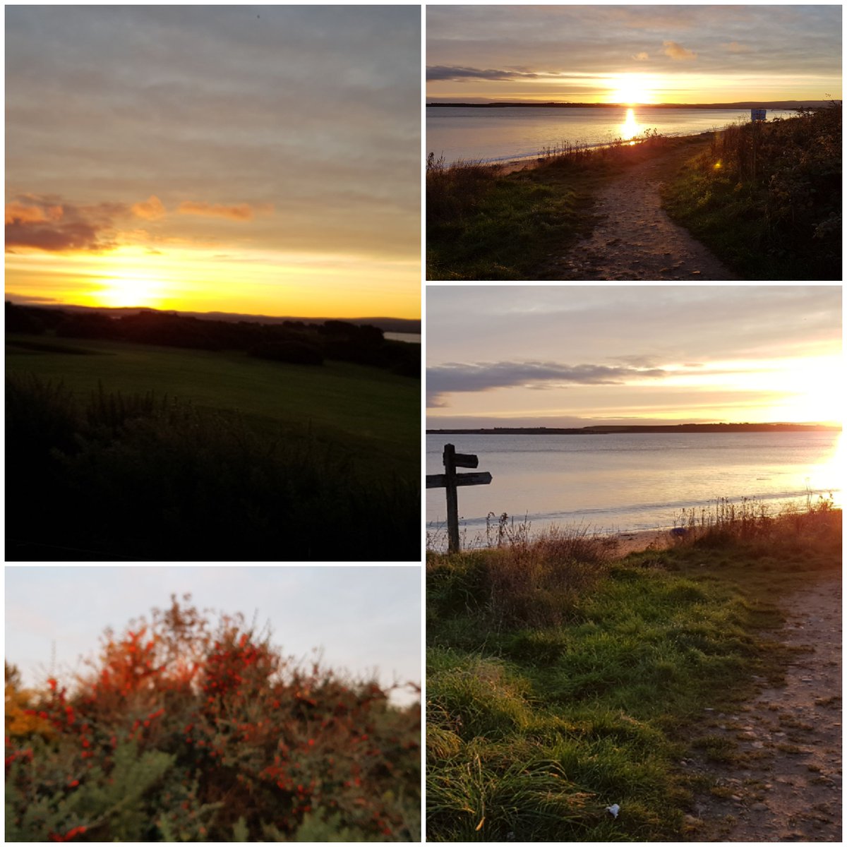 It's a sunny forecast for our final week in the season. Make the most of this beautiful Autumn.