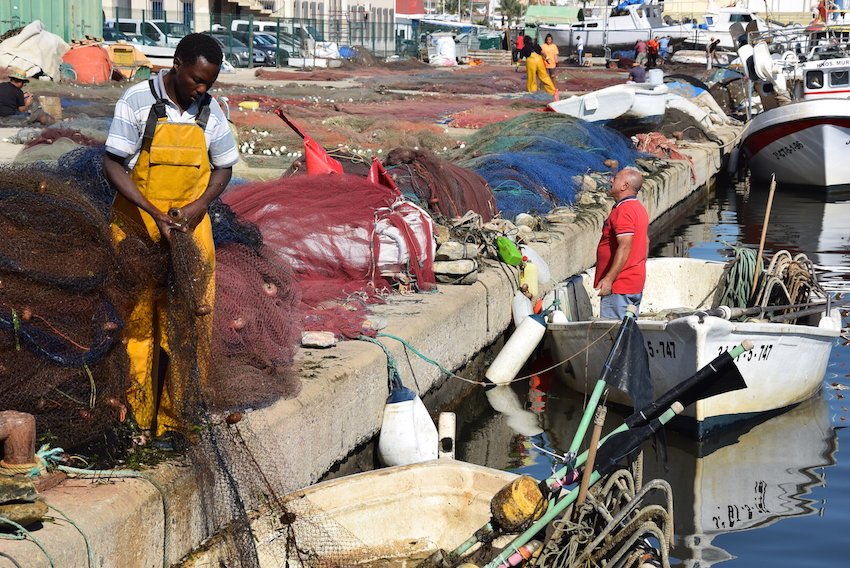 Los pescadores suspenden las capturas en el Mar Menor hasta enero
noticieromarmenor.com/index.php/mar-…
#MarMenor #pesca