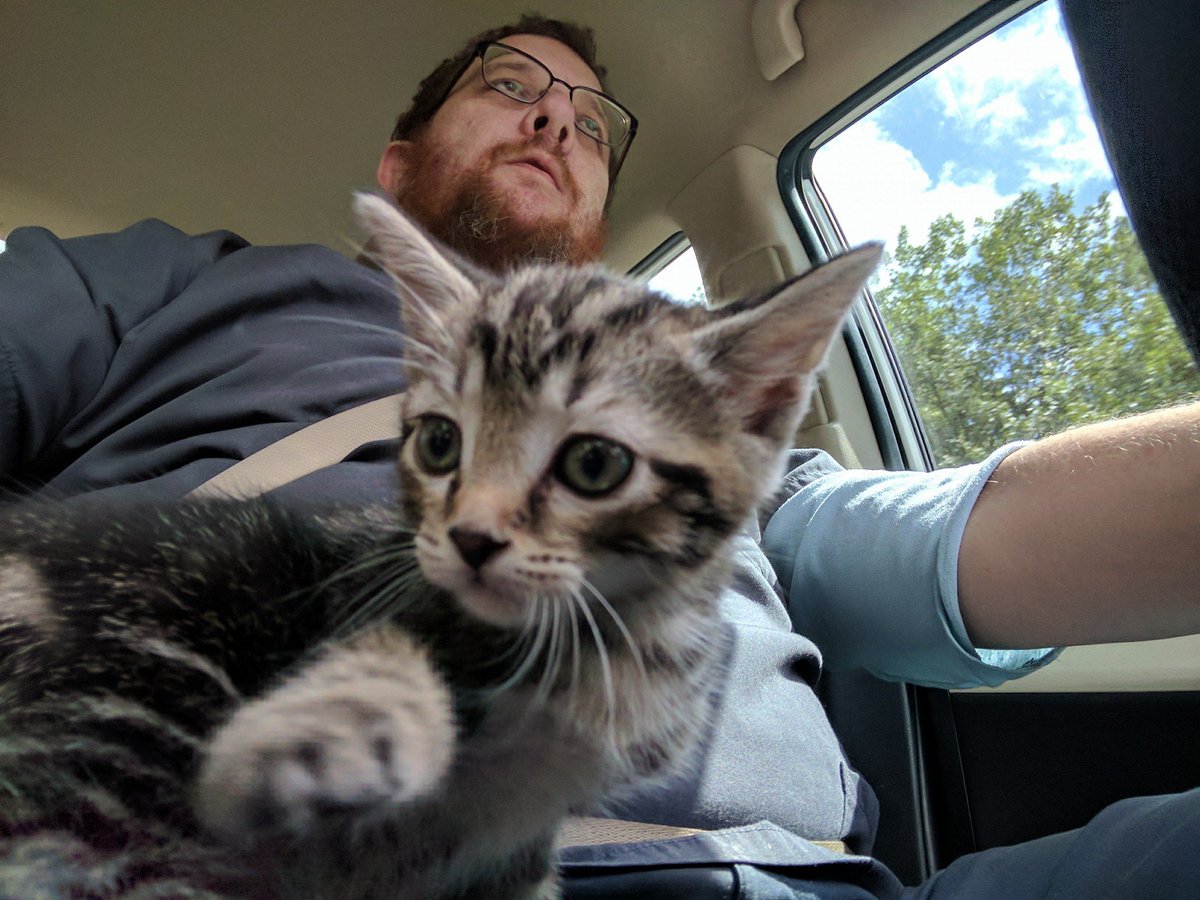 alaphforce's tweet image. 