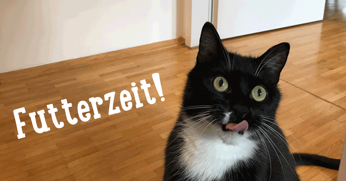 revvet.de tweet media
