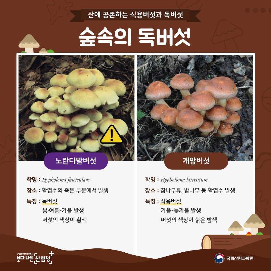 국립산림과학원 a Twitteren: 국립산림과학원 A Twitteren: