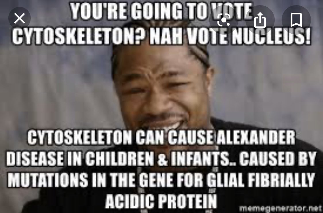 NiftyNucleus2's tweet photo. #organellewars @Bio2019Frazee https://t.co/kHPbCJqr7T
