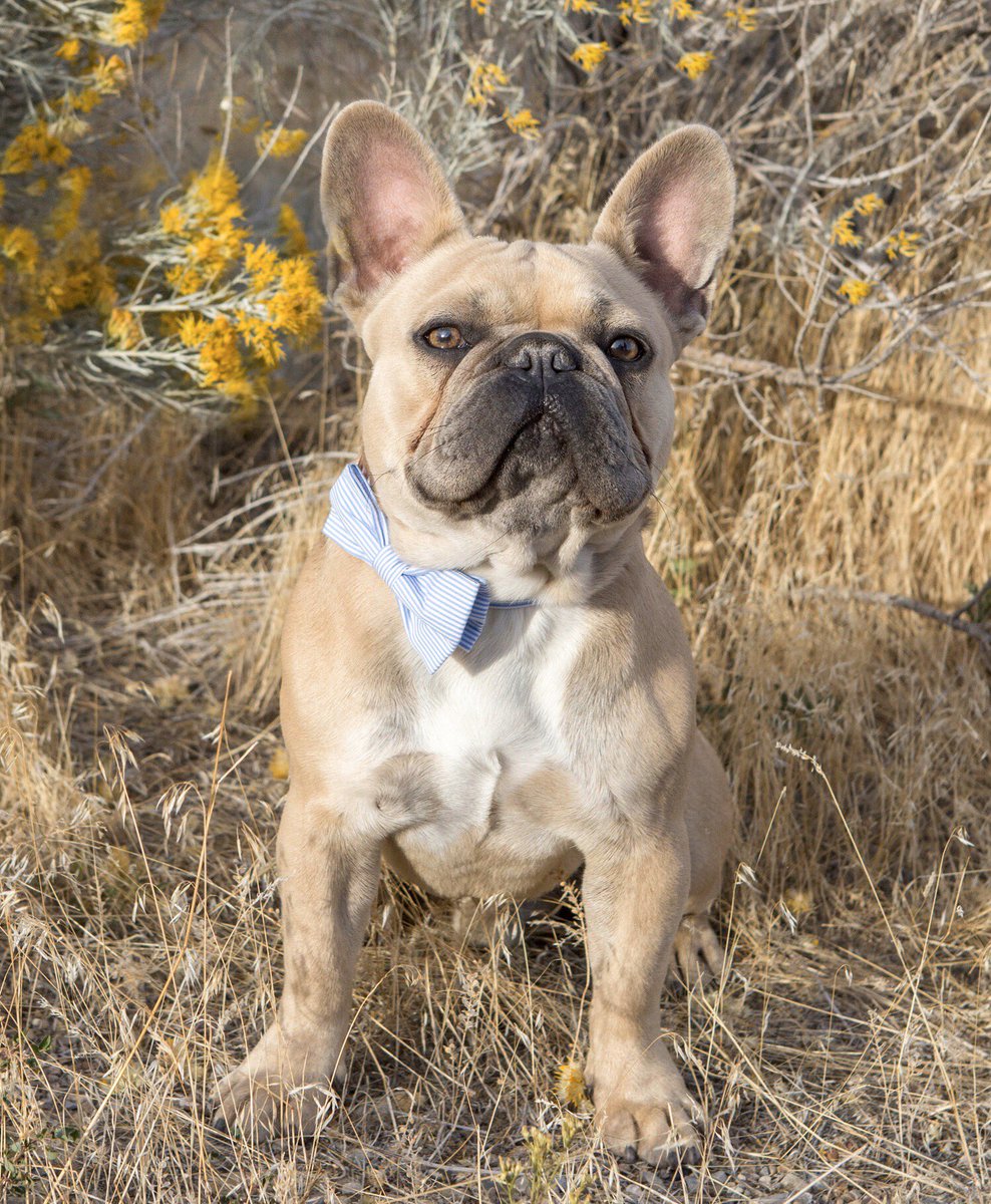 KateHiggy_4's tweet image. Peep the arm definition 👀💪🏽