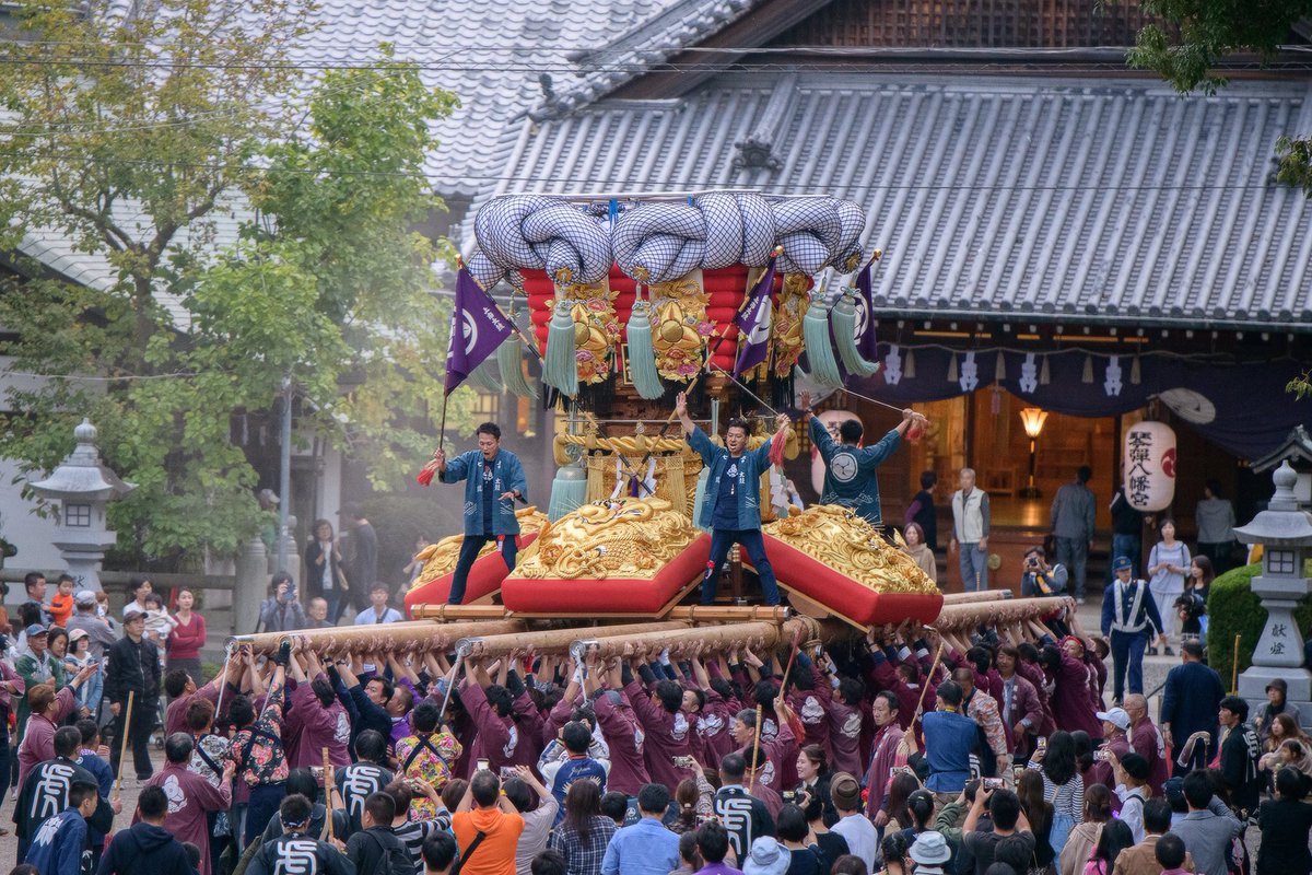 樫谷誠人 マリアージュコトブキカメラマン A Twitter ちょっと空いた時間にデータ整理中 仕事が着物関係やから 花関係にすぐ目が行き 上市の 橘の締めが粋 獣をなだめて止める意味を知って益々目が行くようになった 暴れるより事前に止める方が難しくかっこいい