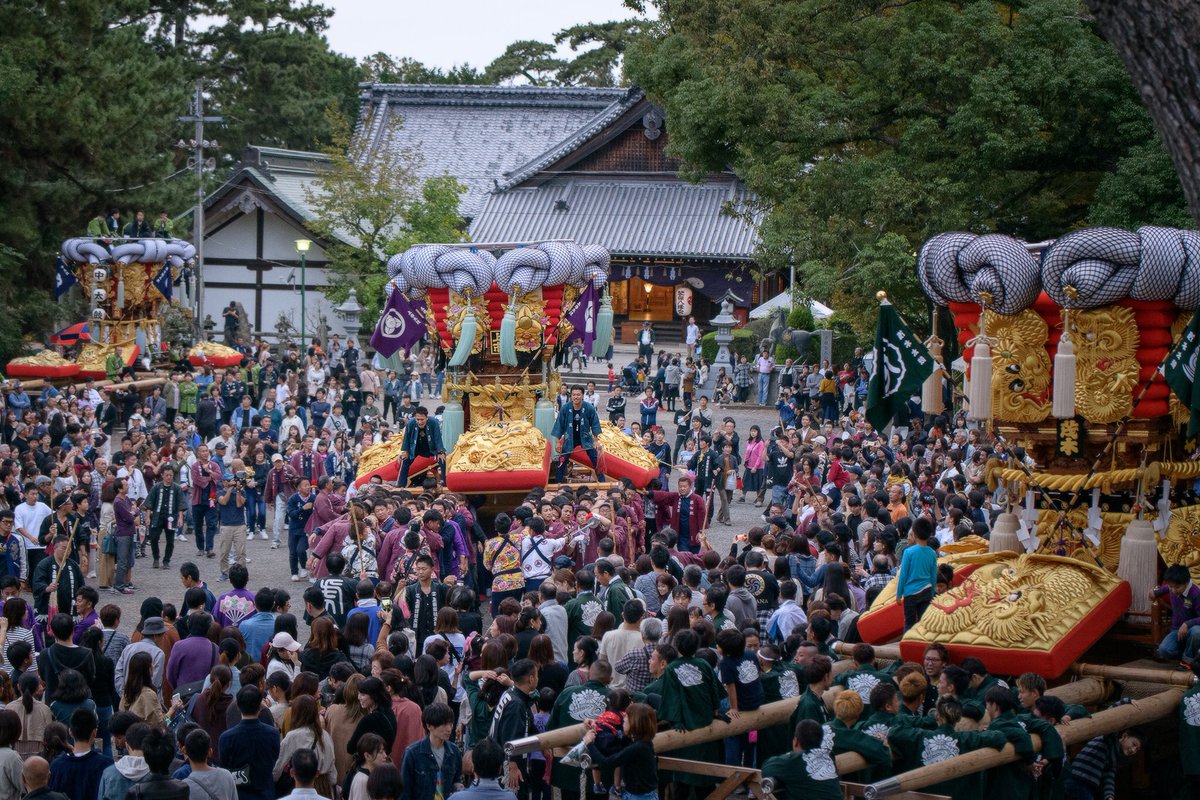 樫谷誠人 マリアージュコトブキカメラマン A Twitter ちょっと空いた時間にデータ整理中 仕事が着物関係やから 花関係にすぐ目が行き 上市の 橘の締めが粋 獣をなだめて止める意味を知って益々目が行くようになった 暴れるより事前に止める方が難しくかっこいい