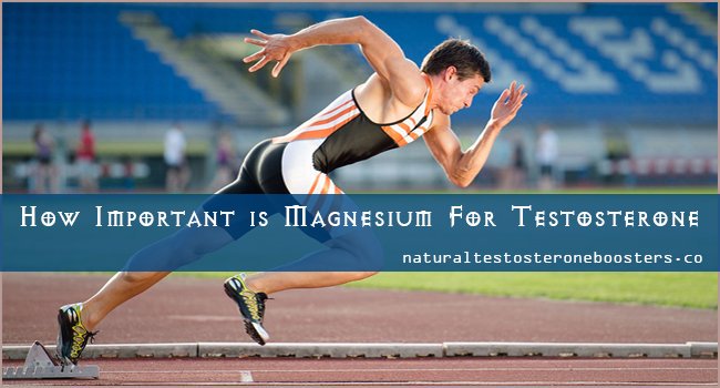 ntestosteroneb_'s tweet image. How Important is #Magnesium For Testosterone... naturaltestosteroneboosters.co/how-important-…
.
.
.
#NaturalTestosteroneBoosters #HighTestosterone #TestosteroneBoosters #Strength
