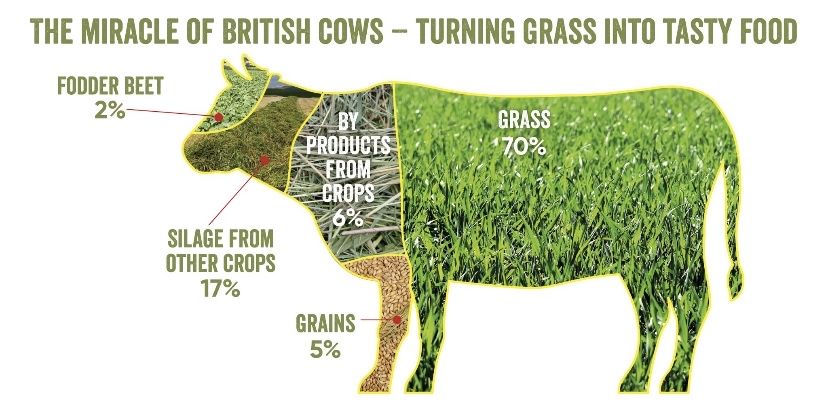 Promar Sustainability Team tweet media