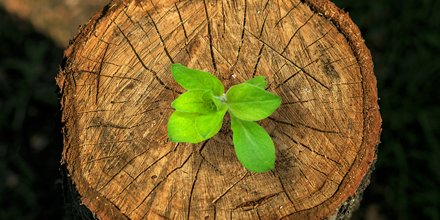 NautaDutilh's tweet image. How to keep a 19th century classic like the Asser series up to date? NautaDutilh partner Kasper Krzeminski tells about his involvement. #295yearsofadaptivethinking #powerofthecollective  #adaptivethinking #nautadutilh
nautadutilh.com/en/our-stories…