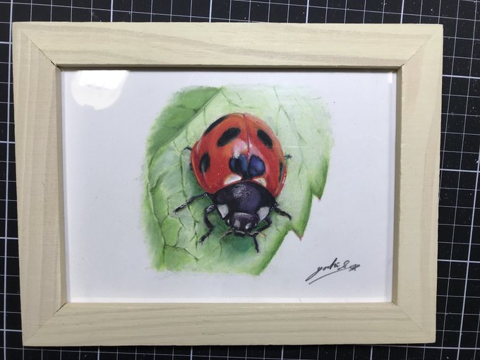 ナナホシテントウのtwitterイラスト検索結果