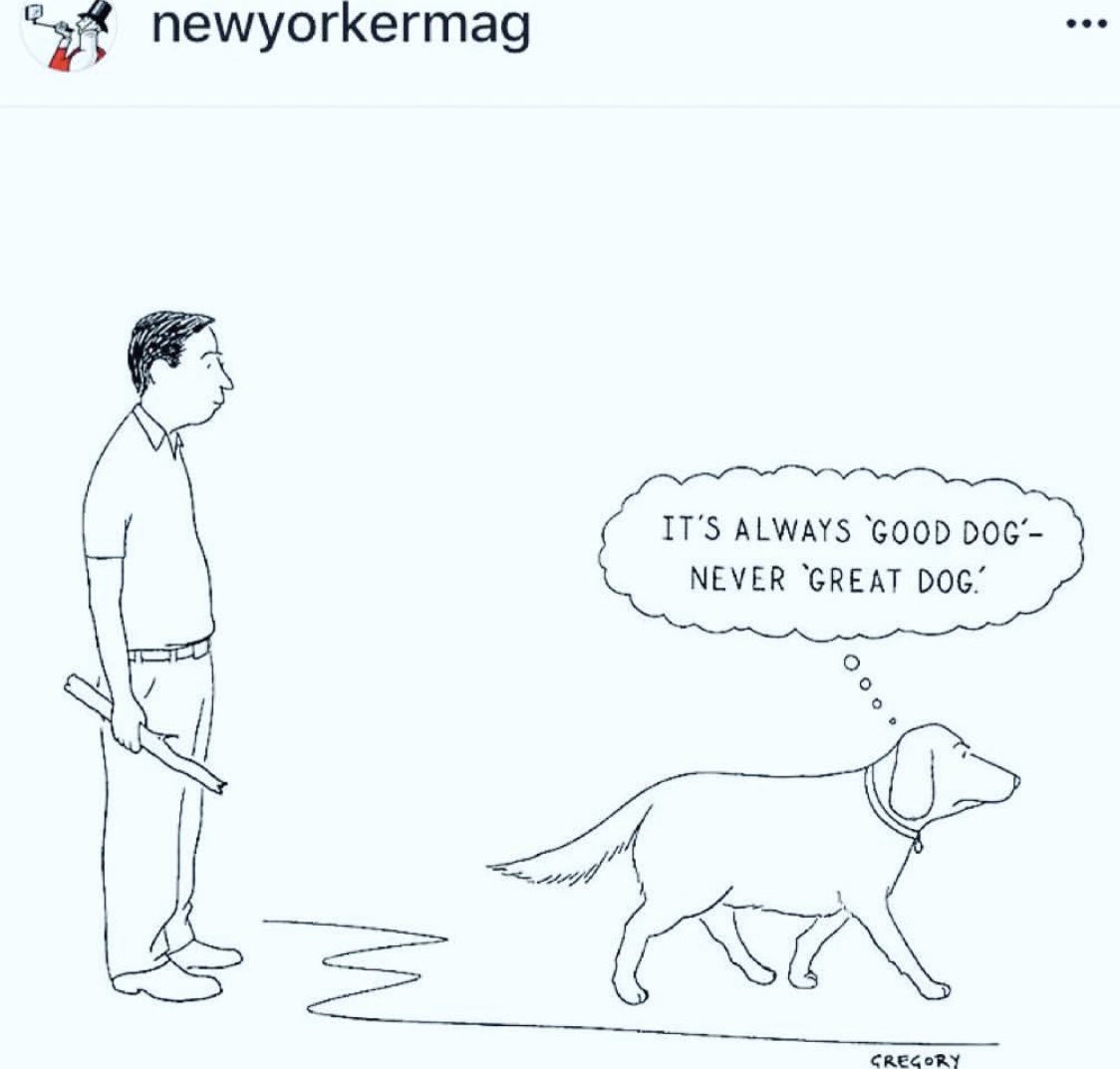 One Morning tweet media