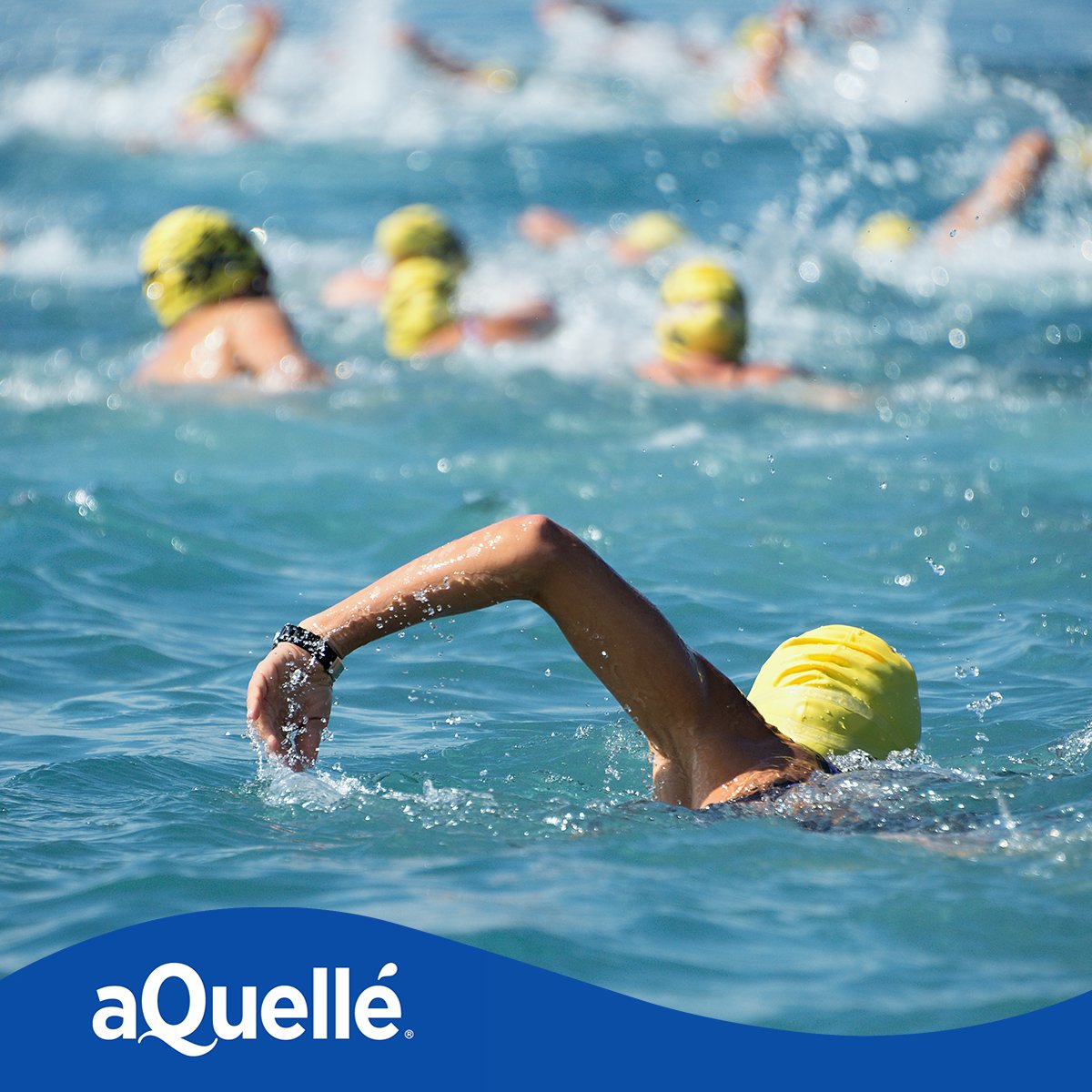 aQuelle's tweet photo. It’s the Sun City Swim race day. To all the swimmers, have a refreshing swim and see you at the finish! #aQuellé #Swim2019 https://t.co/hsTittqZN9