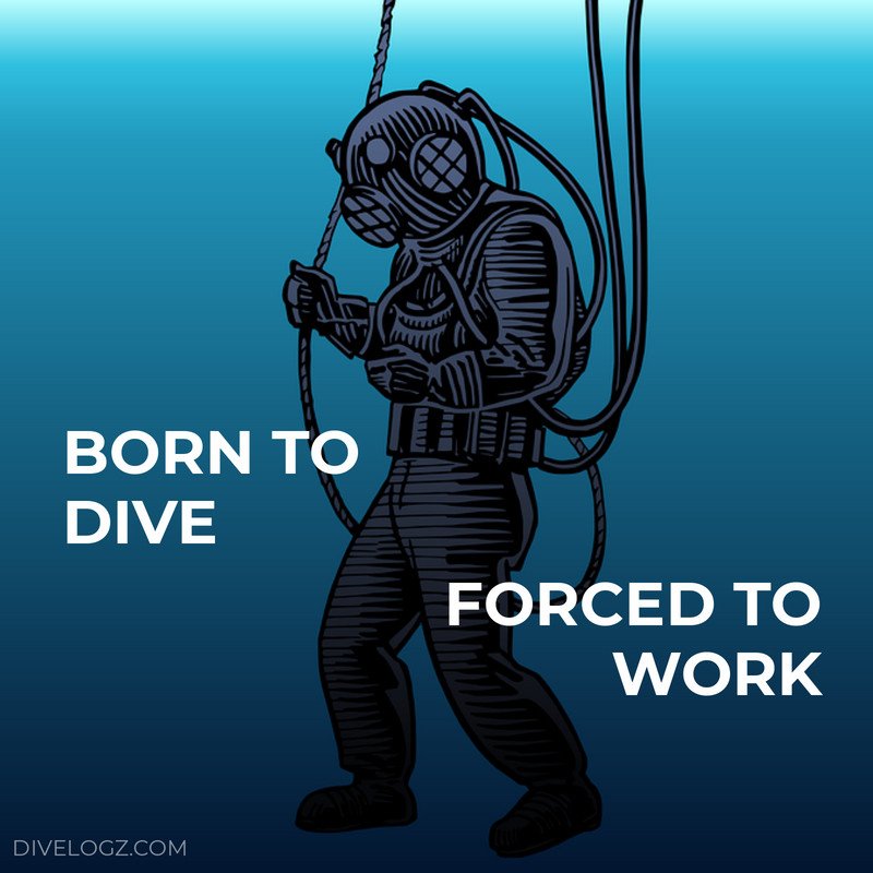 DiveLogz's tweet image. #scubadiving