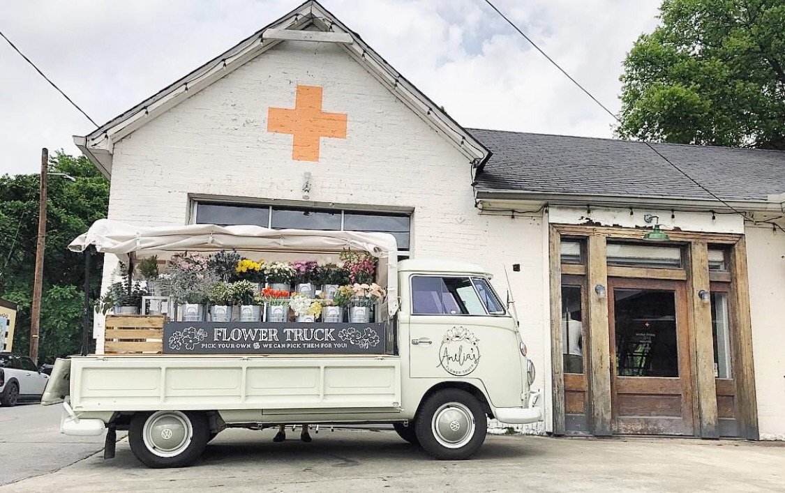 Come see us @imogeneandwillie today from 11-5! We've got all the fall blooms waiting for you. 💐📸| @sammyleehills