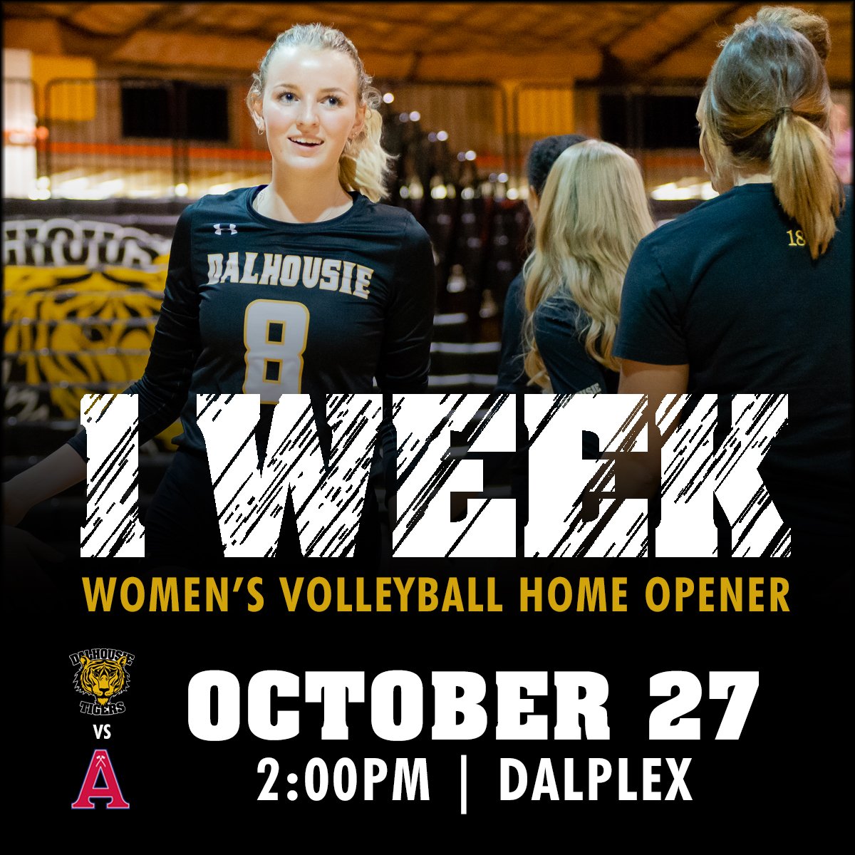 DalTigers tweet picture