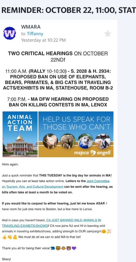 RevaWing's tweet photo. Come speak up @ The MA Statehouse...to help push the Ban on use of Elephants, Bears, Primates & big Cats in Travelling Acts/Exhibits!! And also advocate @ a Hearing in Lennox against Killing Contests! #PETA #ADI #CircusBan #CompassionWorksInternational #EmptyTheCages https://t.co/rKksljUtpq