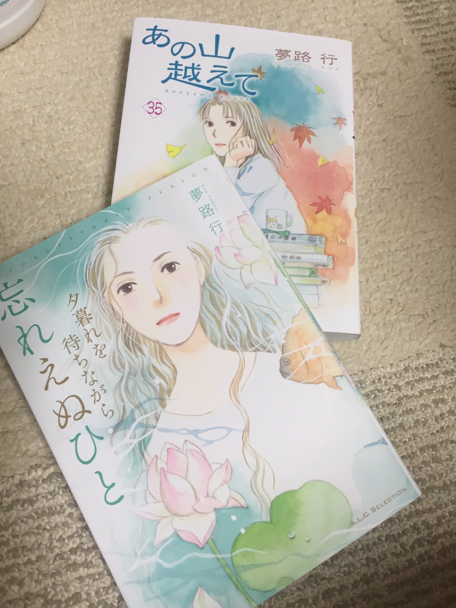 あの山越えて Twitter Search Twitter