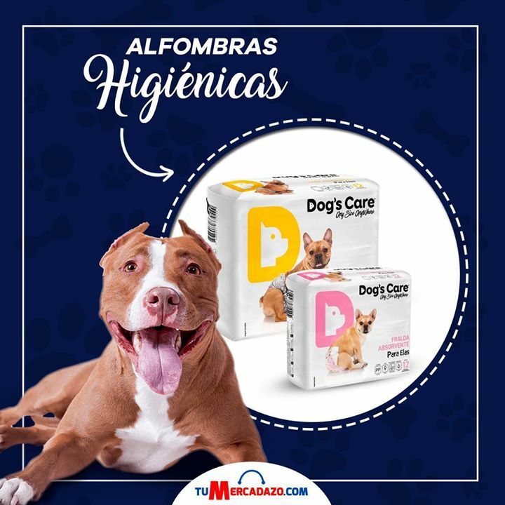 TuMercadazo's tweet photo. ¡Alfombras higiénicas!😍🐶

Consiente a tus mascotas con estas alfombras higiénicas para que puedan estar limpios y se sientan como nuevos, encuéntralos tanto para machos y hembras en las siguientes tallas: G, M, P ❤️

Aquí te dejamos el link para que puedas conseguir el tuyo
… https://t.co/Ik2zA3twBj