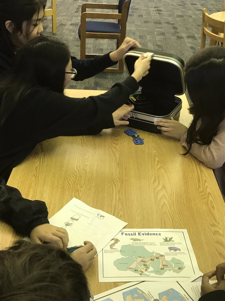 Staci Brown tweet media