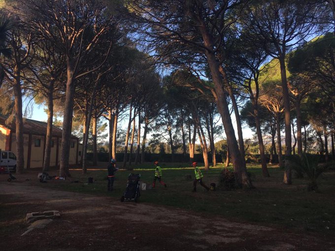ParcSama's tweet photo. La semana pasada tuvieron lugar en Parc Samà las pruebas para la certificación European Tree Worker (ETW)
https://t.co/x0Ehx9pQCx
#europeantreeworker @aearboricultura https://t.co/DHvKkYzssZ