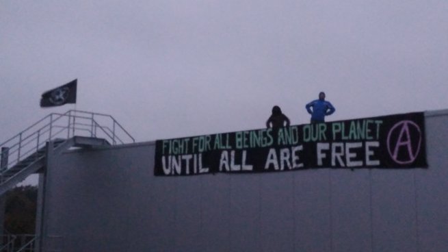 By2020WeRiseUp's tweet photo. Blocking of the #Tönnies slaughterhouse in Kellinghusen, Germany for 7 hours!! 😍-> until all are free, no one is free 🙏thank you, @tdt_2110 ! #thinkglobalblocklocal #teardowntoennies #blockyourlocalslaughterhouse #untileverycageisempty #untilallarefree https://t.co/pd94qRvusw
