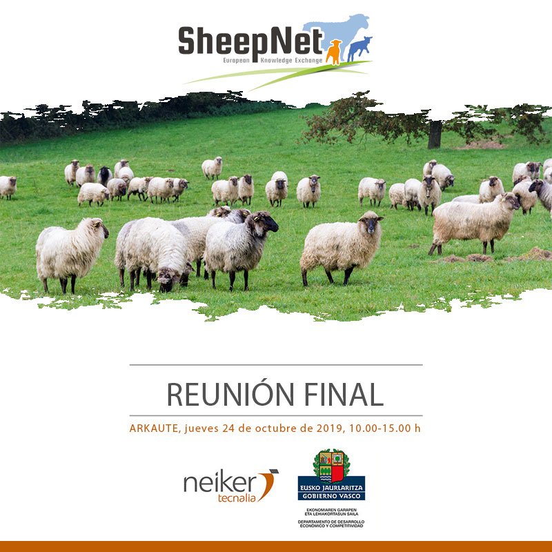 neiker_BRTA's tweet image. ¿Eres productor de #ovino? ¡Apúntate a la reunión final del proyecto #Sheepnet, una iniciativa para aumentar productividad y rentabilidad en #ovejas! bit.ly/2Bu3jZx