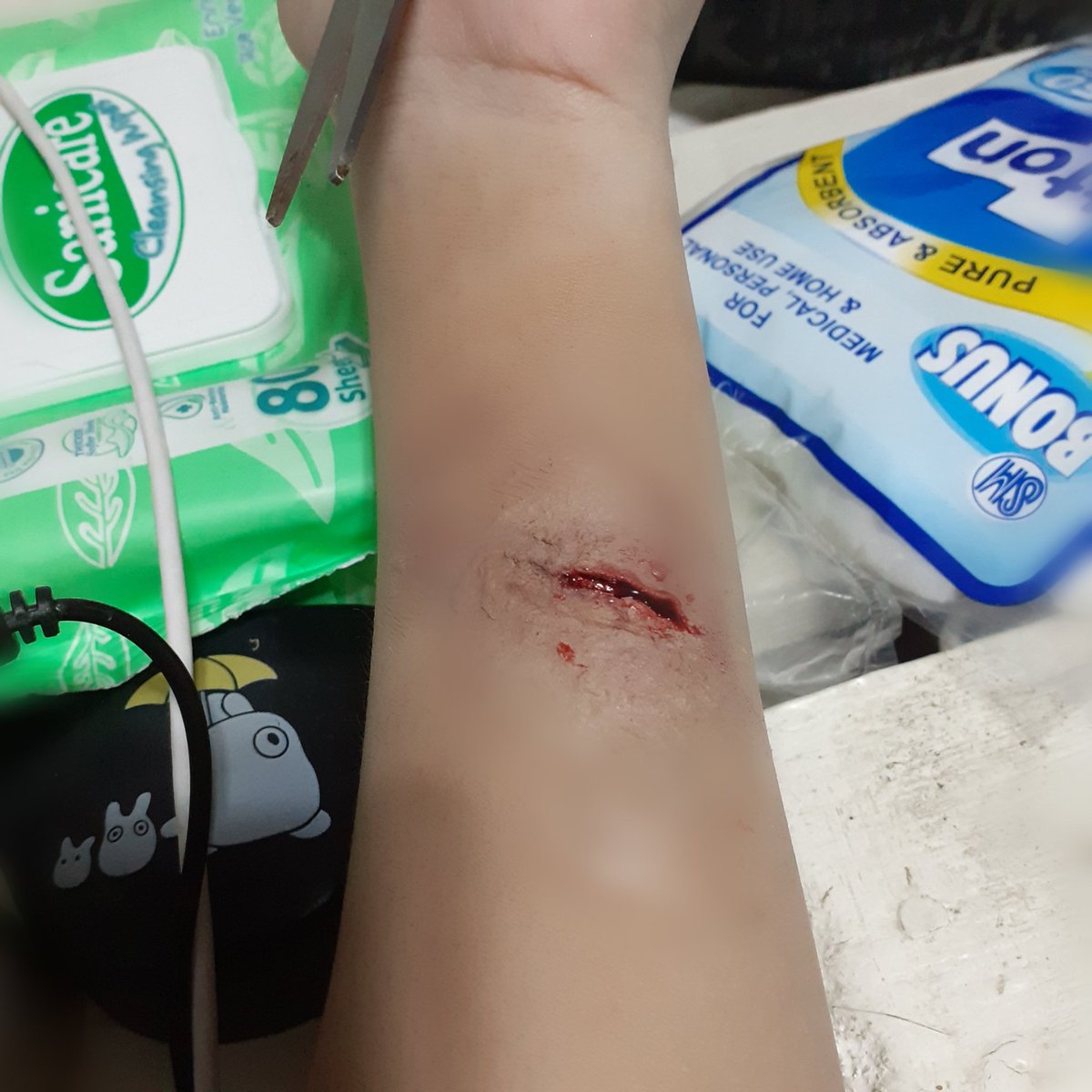 Akaisaurusextra's tweet image. mayhaps i did something...
‼️BLOOD WARNING‼️