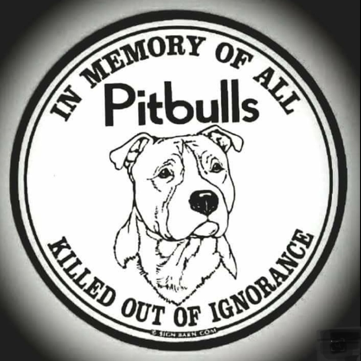 rissalipstick's tweet image. #Every single day we see #Pitbull discrimination uncalled for and very disturbing. 1000’s are euthanised every year more than likely due to abusive ignorant owners. They are abused and used as status symbols. #We need to end the hate that surrounds them. #BreedDiscrimination